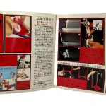 Evel Kinevel Challenge Machine